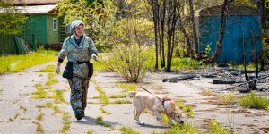 Хвостатые напарники: как собаки работают вместе со столичными спасателями