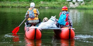 Кинологи столичного Пожарно-спасательного центра приняли участие в Открытых кинологических соревнованиях на Южном Урале