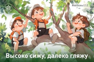 Высоко сижу, далеко гляжу