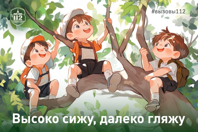 Высоко сижу, далеко гляжу