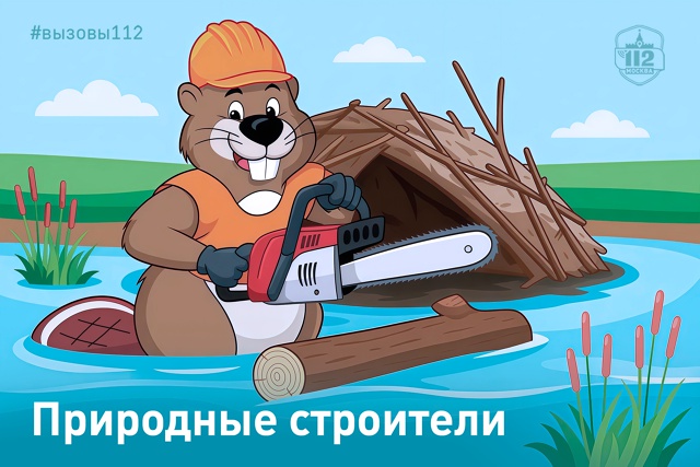 Природные строители