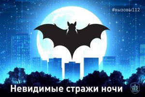 Невидимые стражи ночи