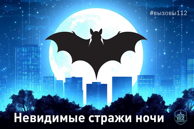 Невидимые стражи ночи