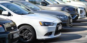 Не забыть проверить машину: как простая привычка может спасти животное