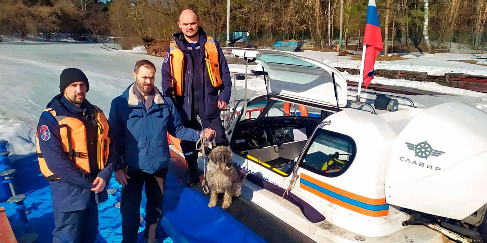 Истории со счастливым концом: как столичные спасатели помогают животным